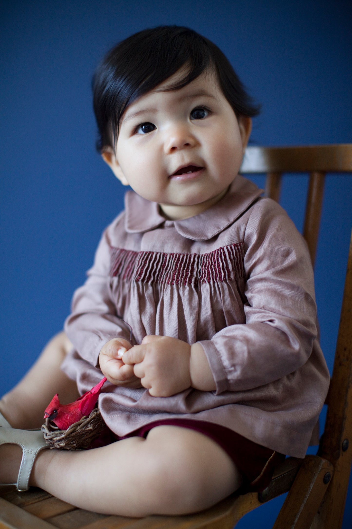 Touch of Gold on Velvet - Baby & Girls Shorts