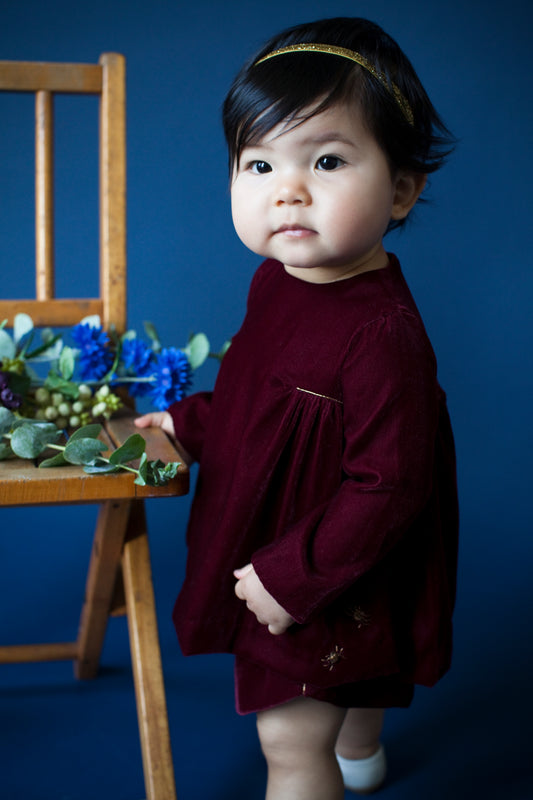 Royal Baby Velvet Dress with Three Spiders